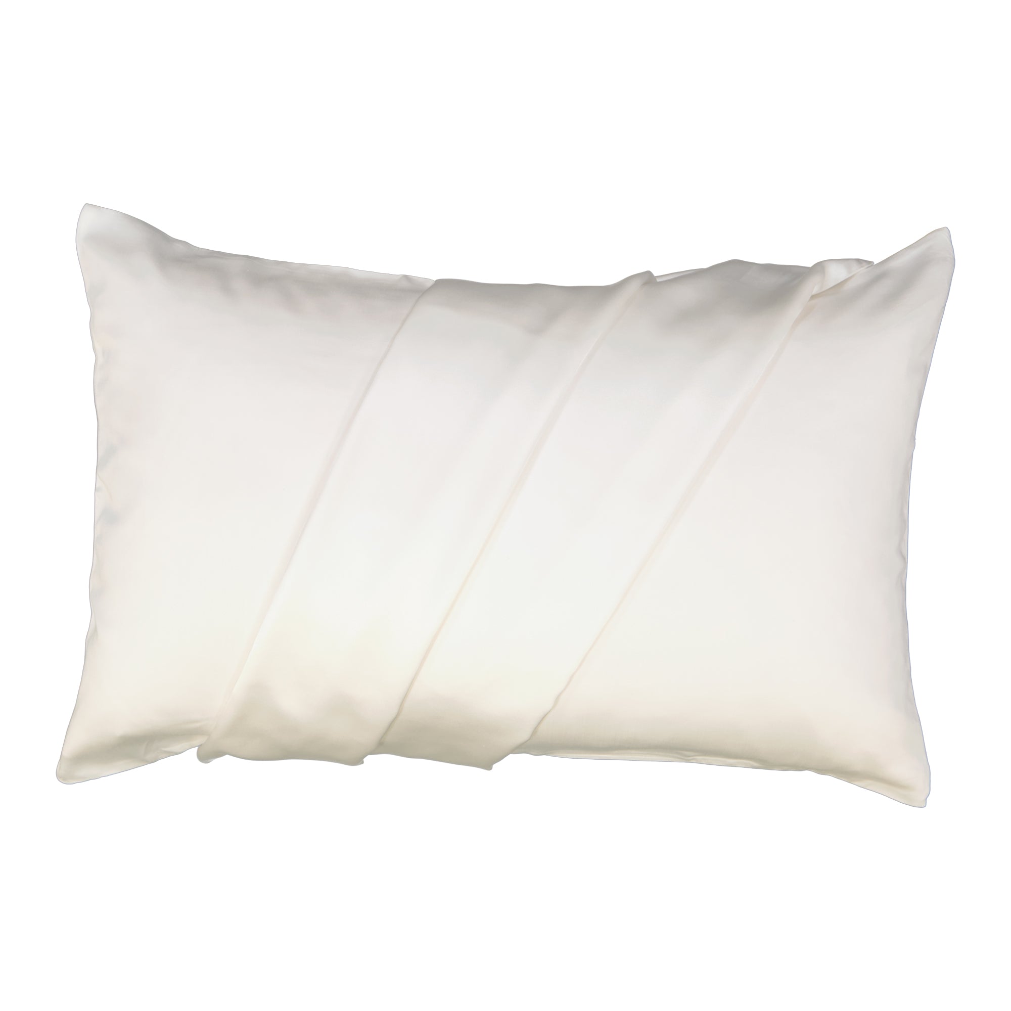 Duel Sided Silk & Bamboo Pillowcases Special x2